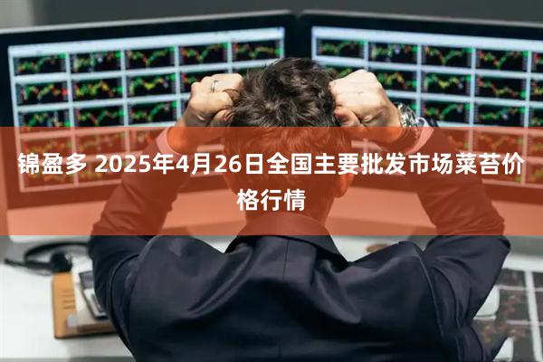 锦盈多 2025年4月26日全国主要批发市场菜苔价格行情