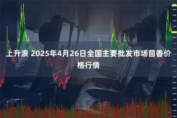 上升浪 2025年4月26日全国主要批发市场茴香价格行情
