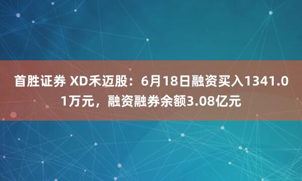 首胜证券 XD禾迈股：6月18日融资买入1341.01万元，融资融券余额3.08亿元