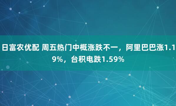 日富农优配 周五热门中概涨跌不一,阿里巴巴涨1.19%,台积电跌1.59%