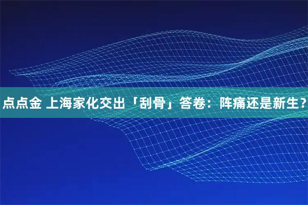 点点金 上海家化交出「刮骨」答卷：阵痛还是新生？
