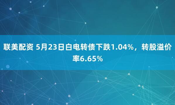 联美配资 5月23日白电转债下跌1.04%，转股溢价率6.65%
