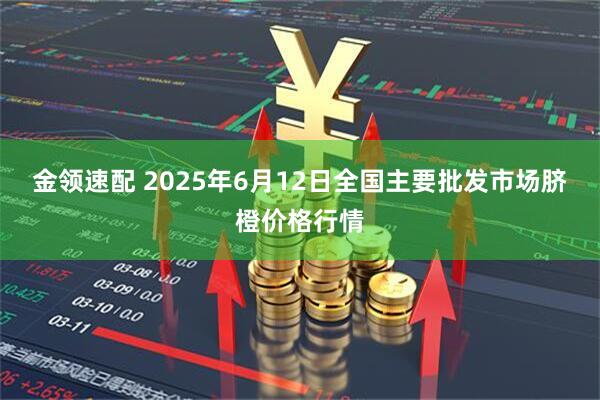 金领速配 2025年6月12日全国主要批发市场脐橙价格行情