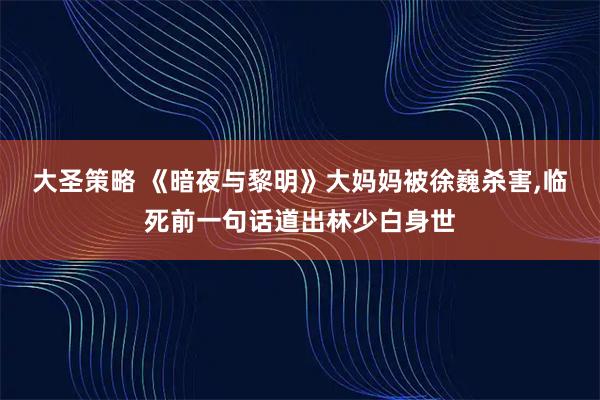 大圣策略 《暗夜与黎明》大妈妈被徐巍杀害,临死前一句话道出林少白身世