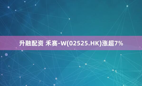 升融配资 禾赛-W(02525.HK)涨超7%