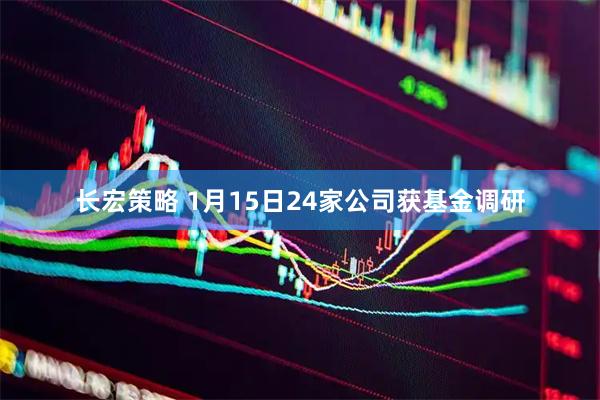 长宏策略 1月15日24家公司获基金调研