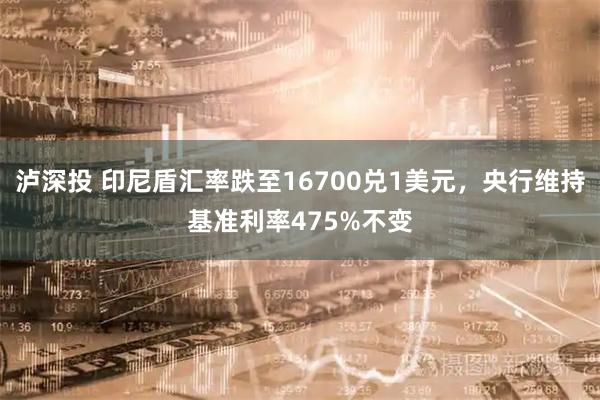 泸深投 印尼盾汇率跌至16700兑1美元，央行维持基准利率475%不变