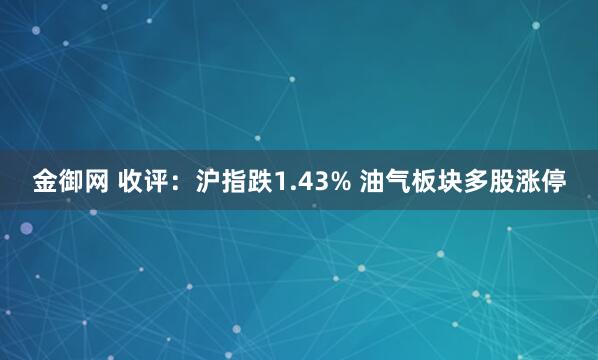 金御网 收评：沪指跌1.43% 油气板块多股涨停