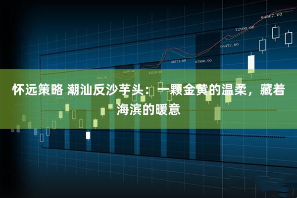 怀远策略 潮汕反沙芋头：一颗金黄的温柔，藏着海滨的暖意